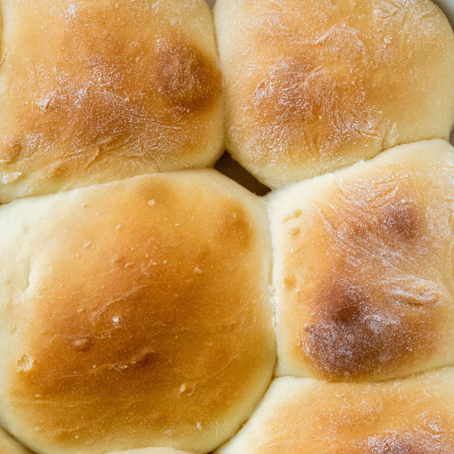 Easy Bread Machine Hawaiian Rolls: King's Sweet Rolls at Home